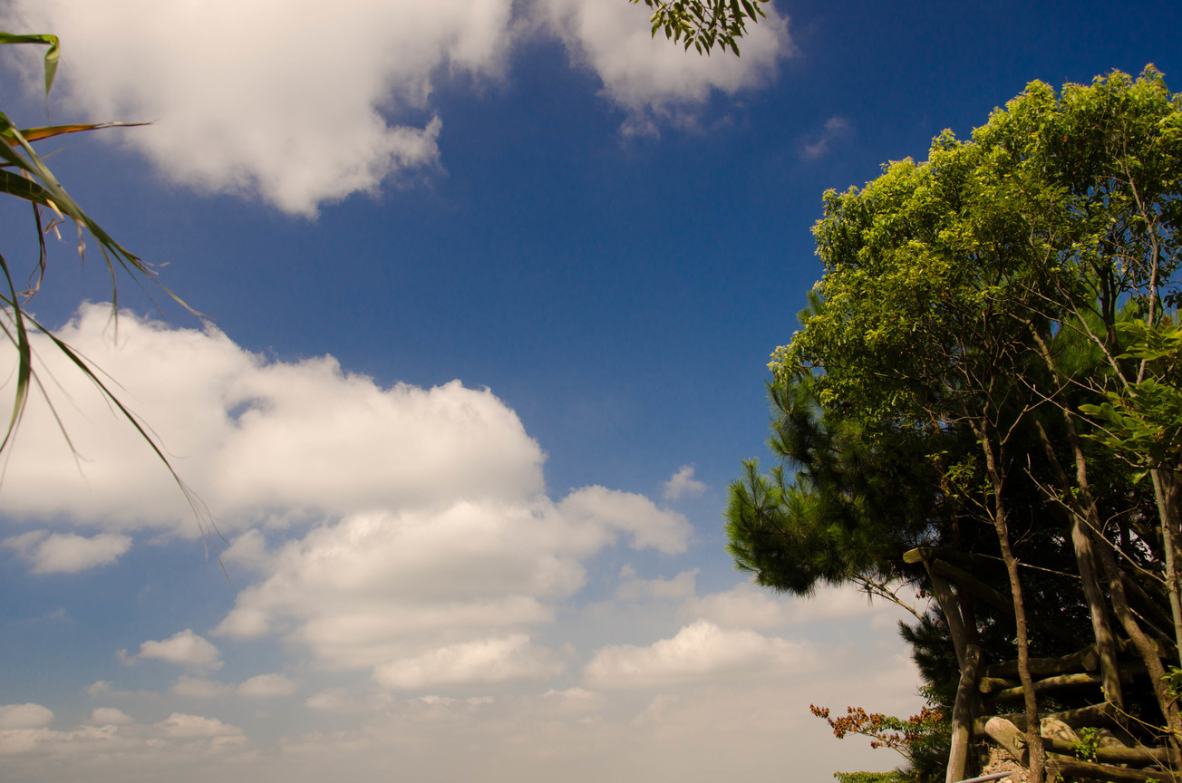 台中市北屯區－大坑5號步道天空之城