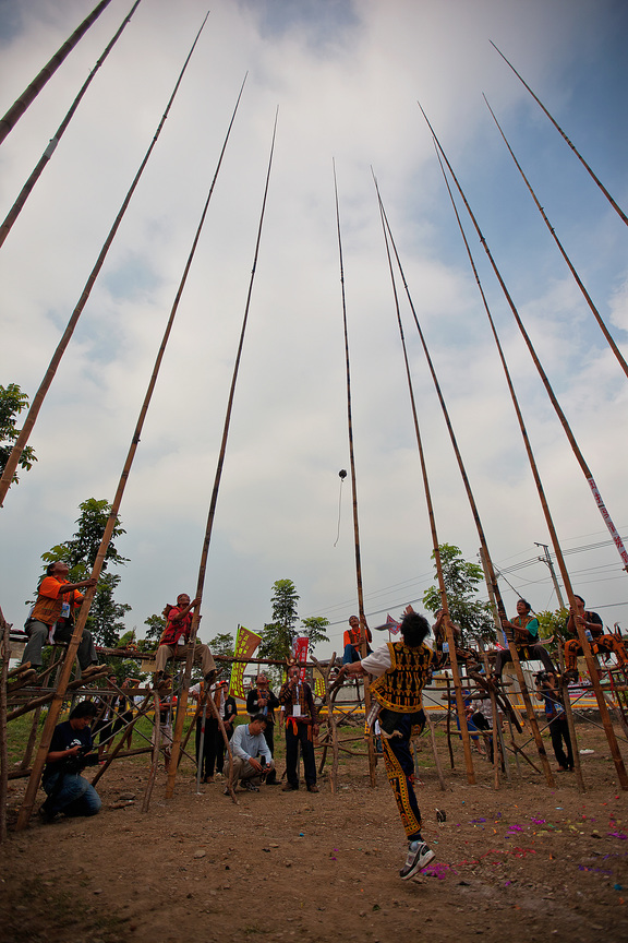 屏東縣春日鄉-刺球