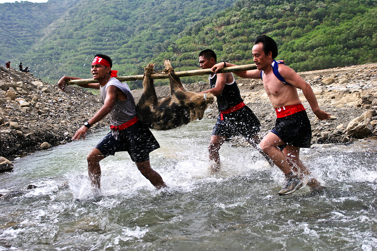 屏東縣獅子鄉－扛山豬