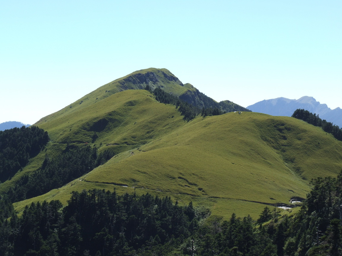 青翠的高山草原