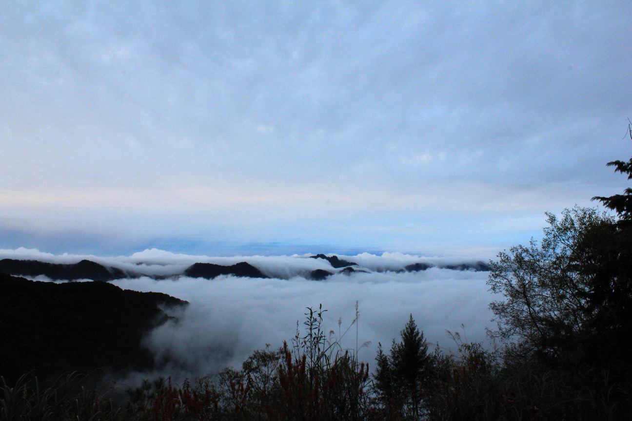 嘉義縣阿里山鄉-雲海綿綿3