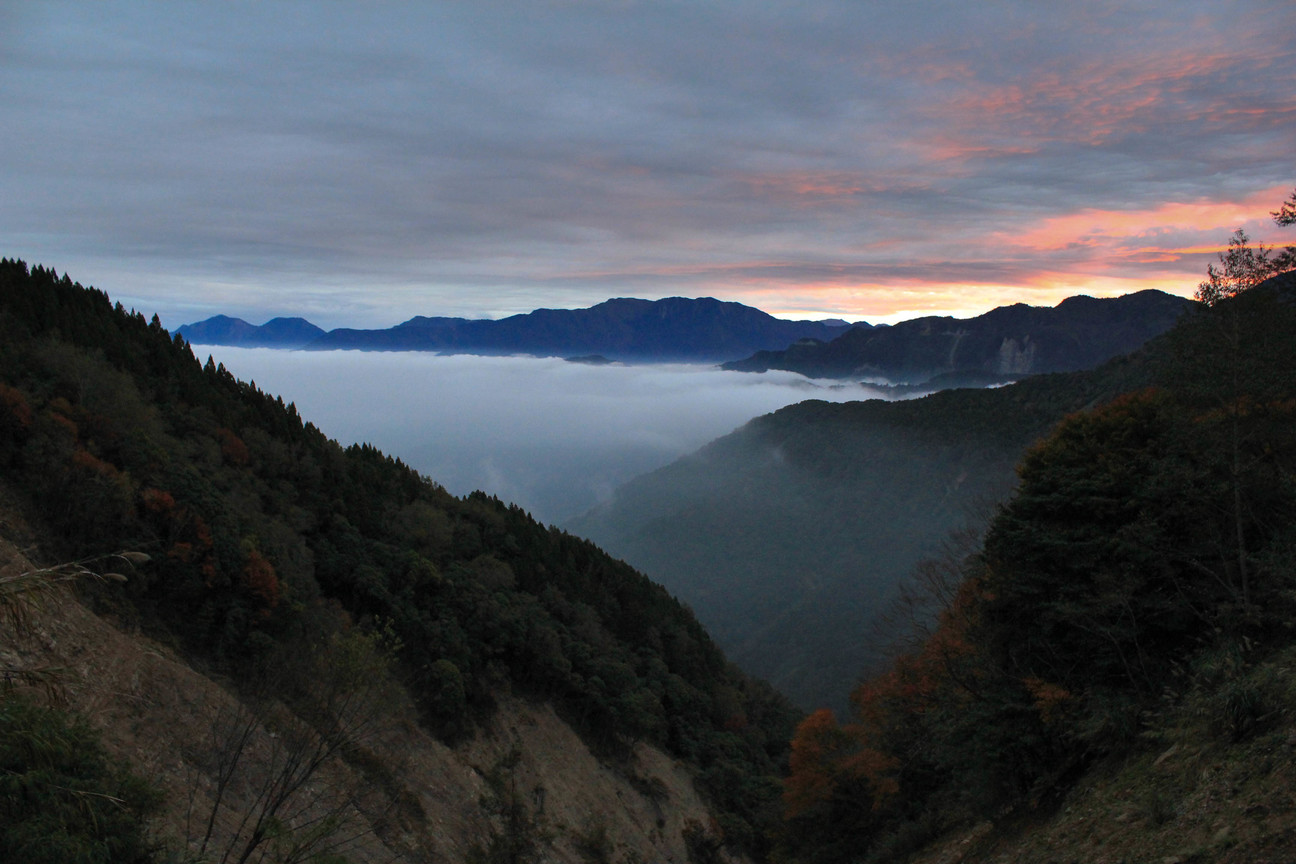 嘉義縣阿里山鄉-雲海綿綿1