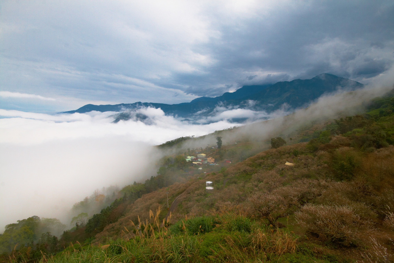 南投信義雲海(二)