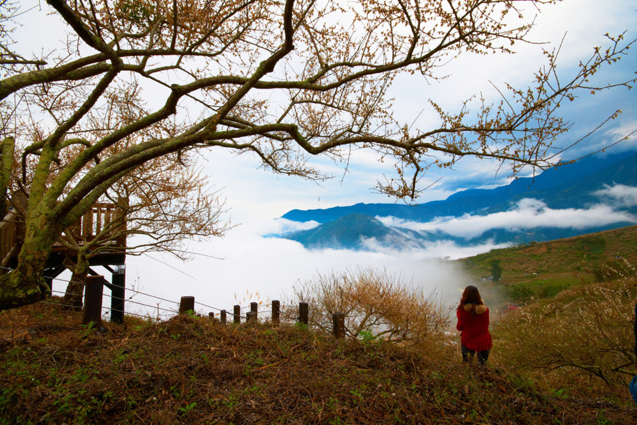 南投信義雲海(一)