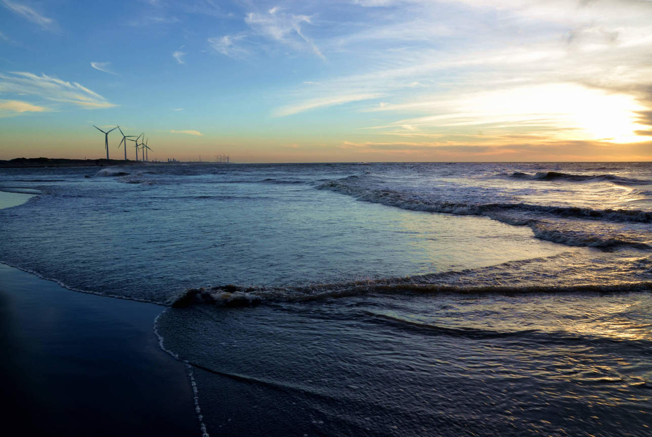 桃園縣大園鄉-內海溼地日落