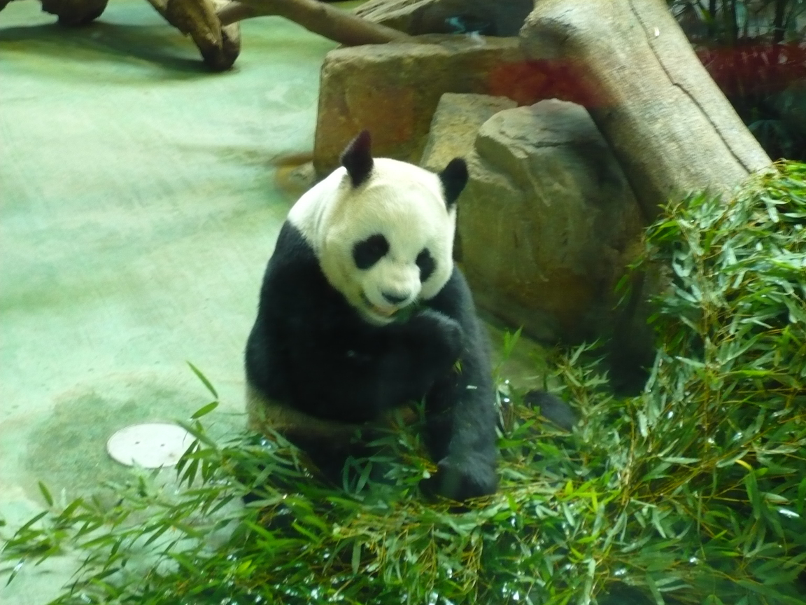 木柵台北市立動勿園