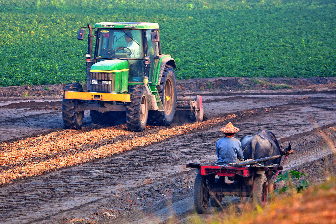 屏東縣新園鄉-交會