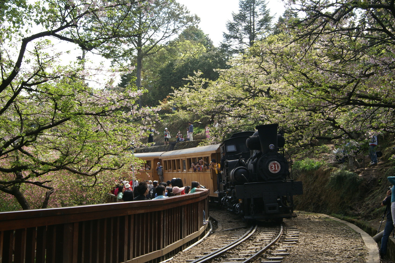 阿里山森林火車