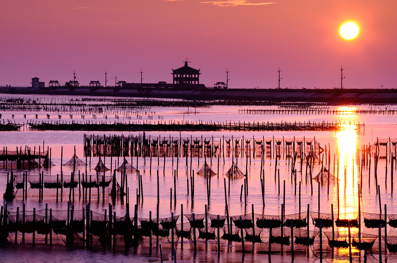 台南市七股區-七股Z型蚵棚夕陽1