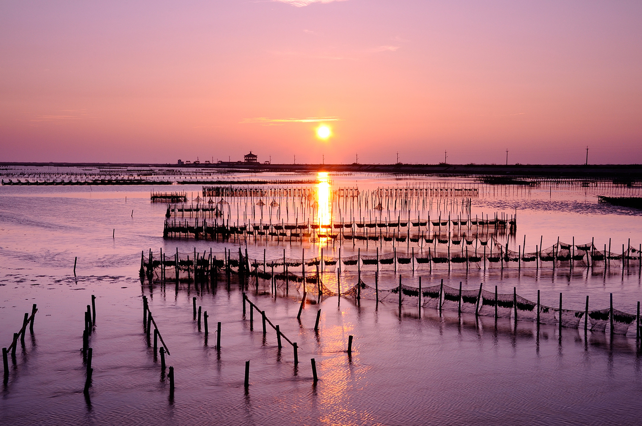台南市七股區-七股Z型蚵棚夕陽2