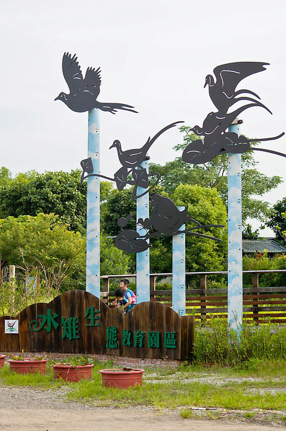 台南市官田區─官田水雉生態教育園區