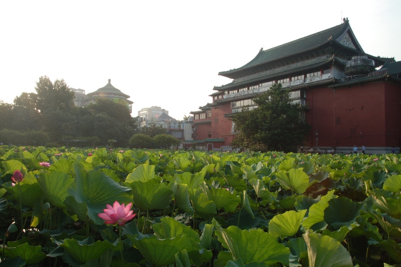 台北市中正區-植物園