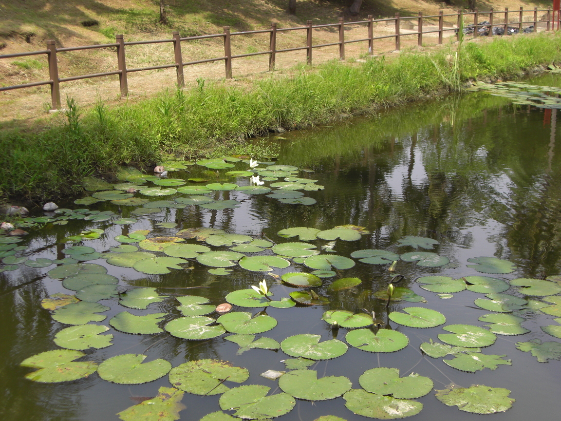 台南市永康區－永康公園