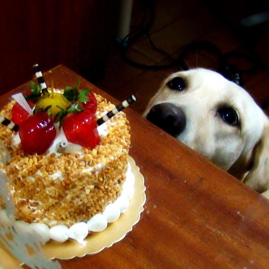 我的生日 有妳真好