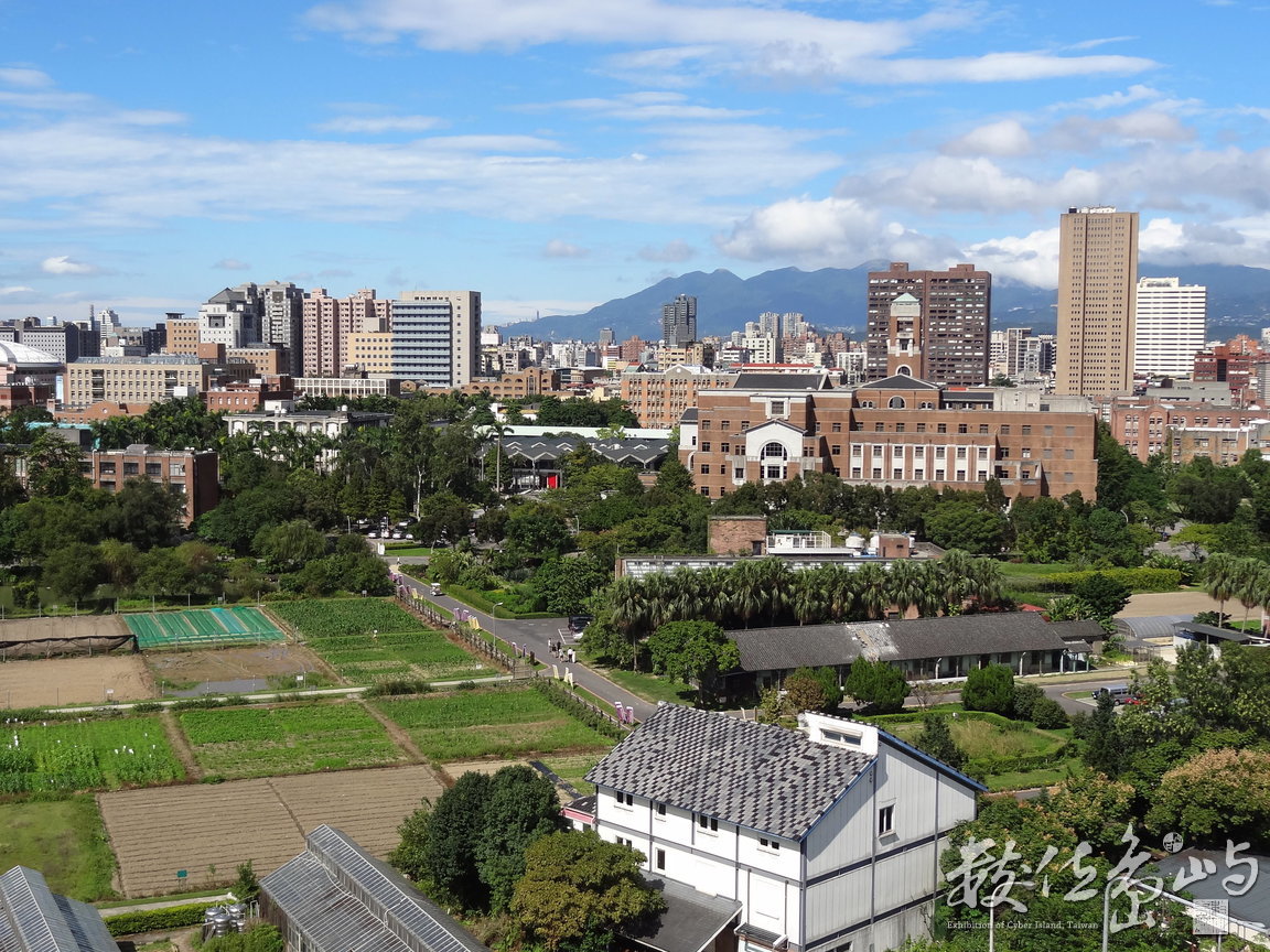 台北-城市淨土/陳旺展 2012年拍攝
