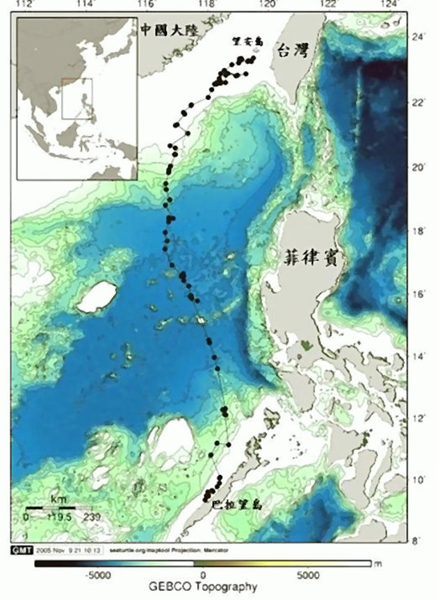 洄游追蹤路徑圖