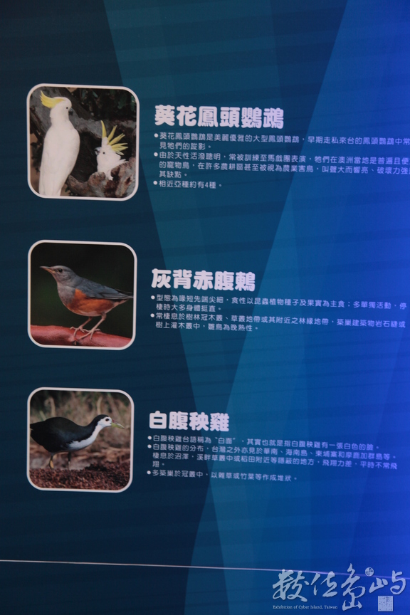 2012年0818台北_056