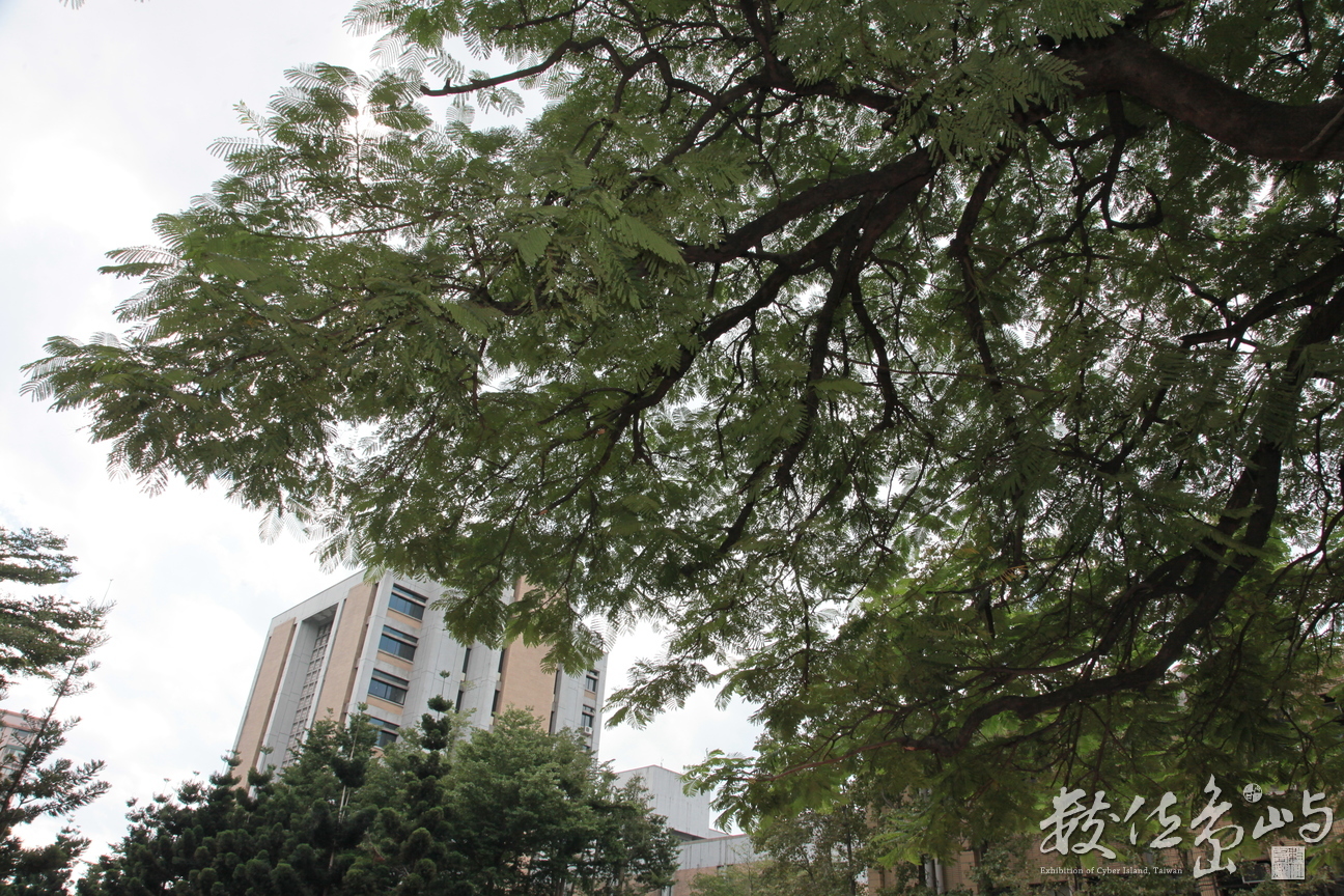 2012年1102台北_44