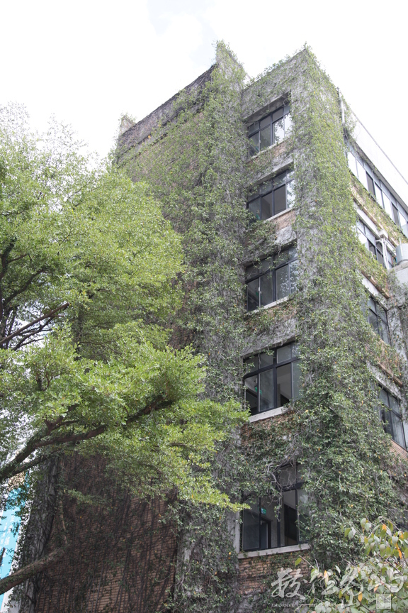 2012年1102台北_39