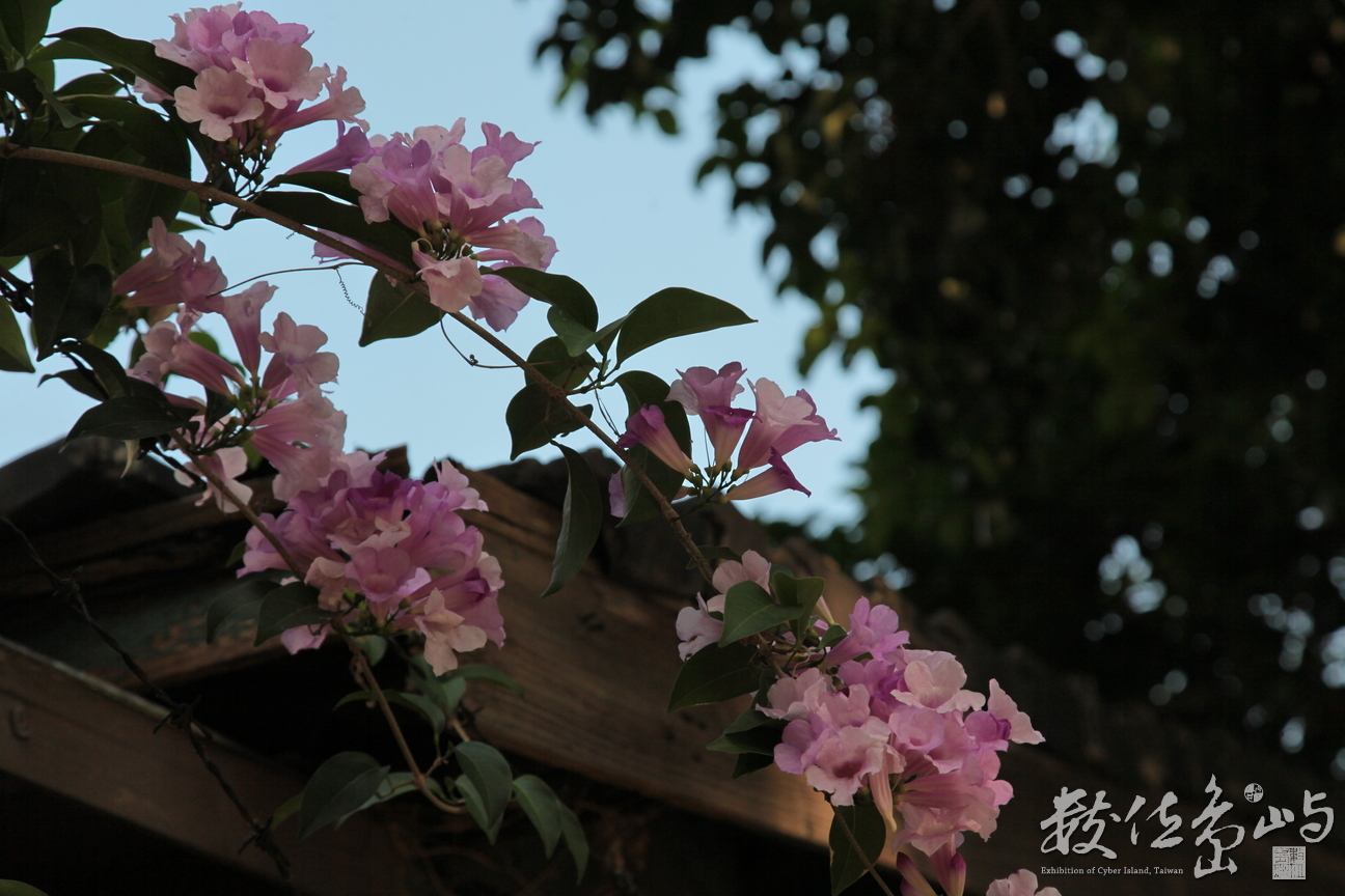 2012年1015台北_03