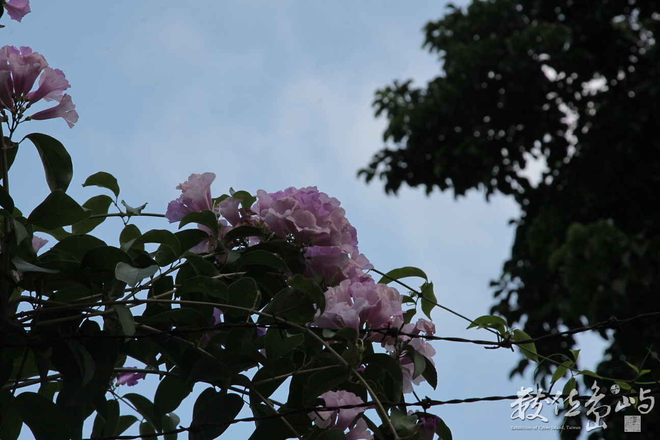 2012年1015台北_01