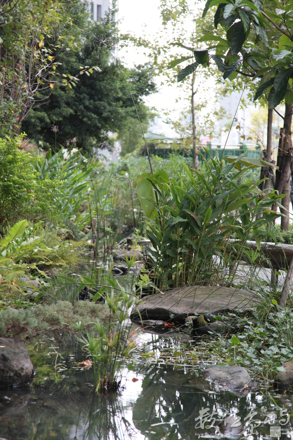 2012年1102台北_14