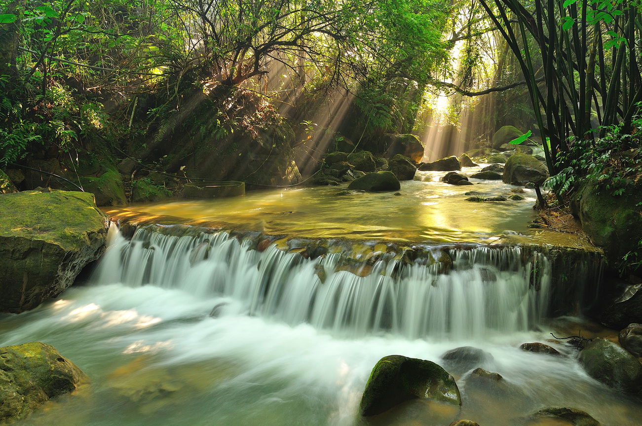 新北市土城區－龍泉溪曙光