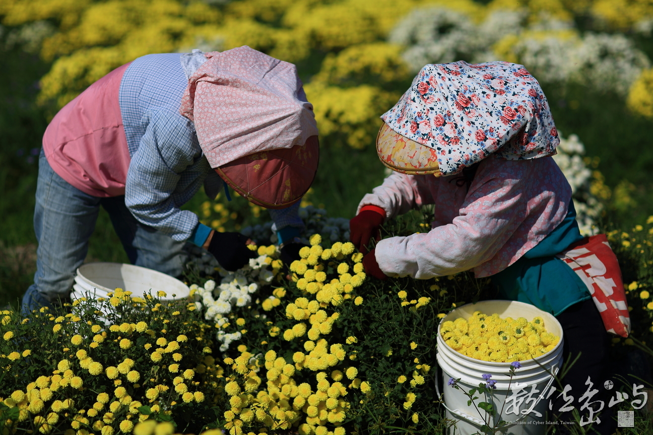 此間有真意，欲辯已忘言