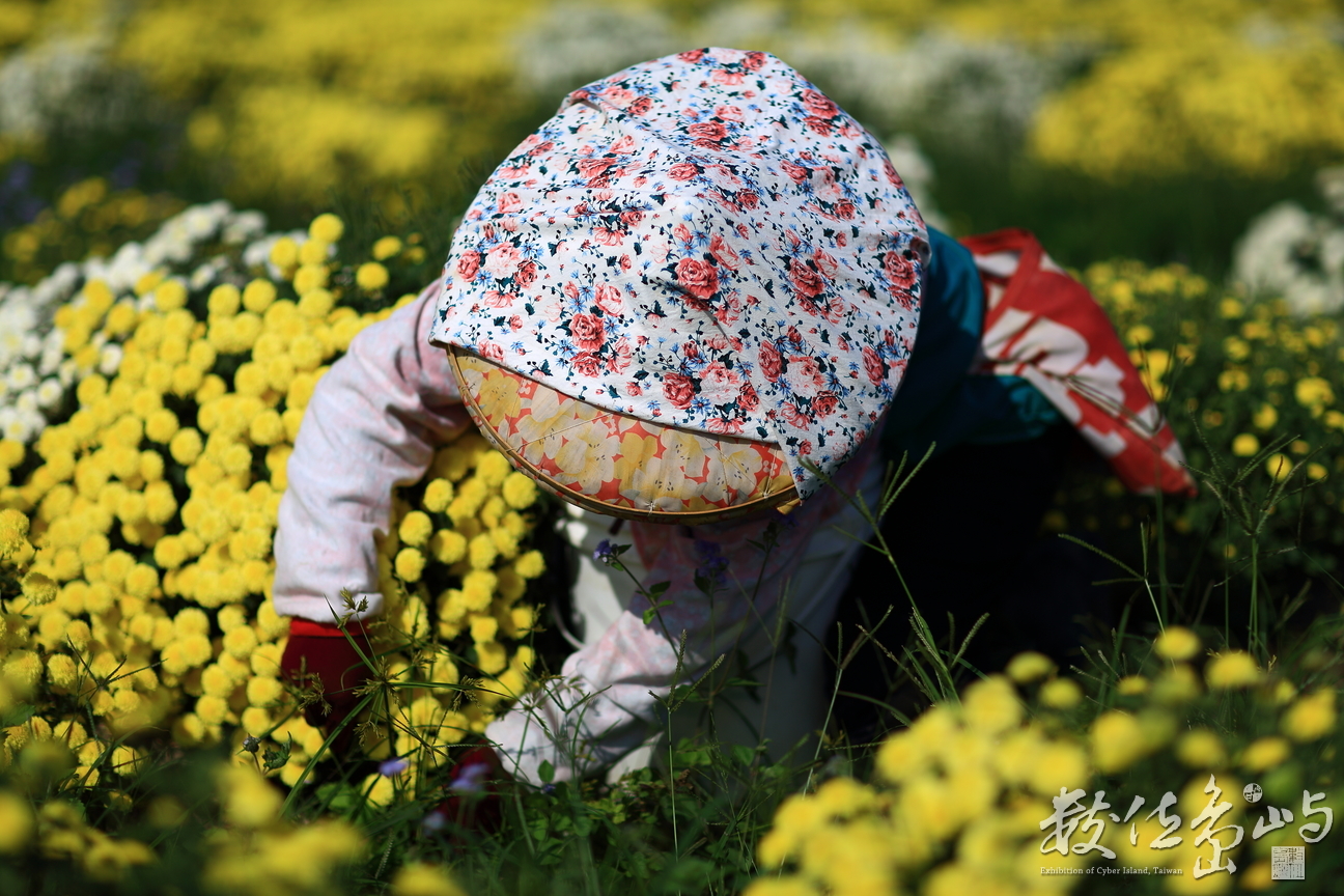 任勞任怨、刻苦耐勞