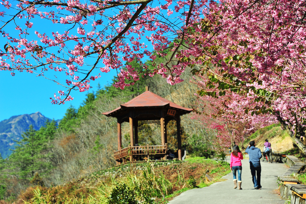 臺中市和平區-武陵農場之美01
