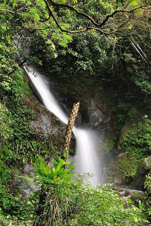 新北市深坑區-王軍寮瀑布