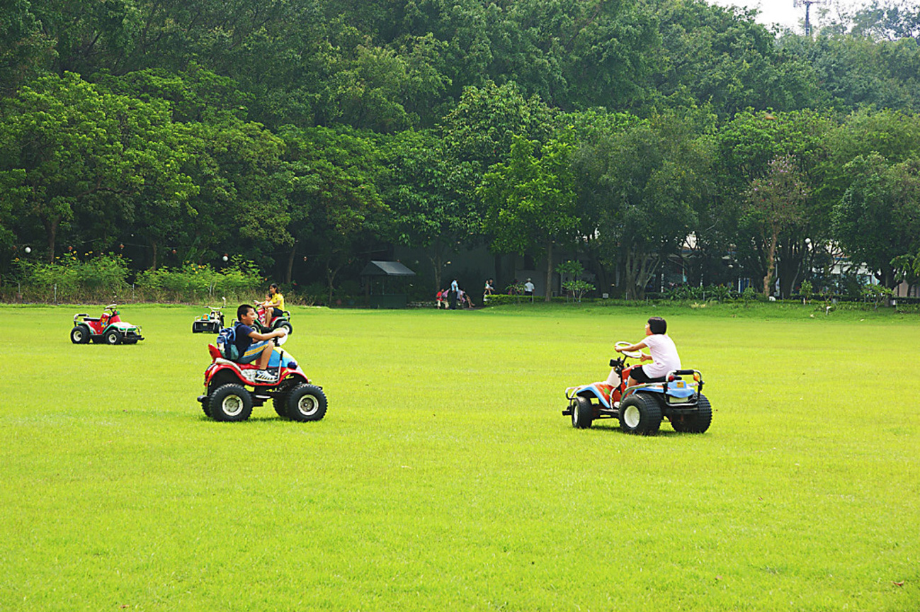 台南市柳營區-南元青青大草原