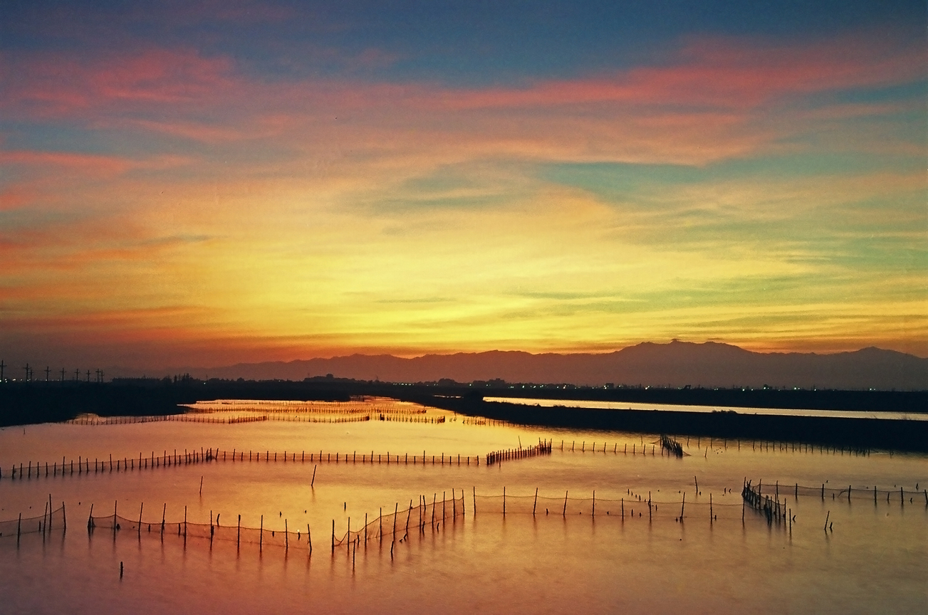 台南市七股區-蚵田晨景