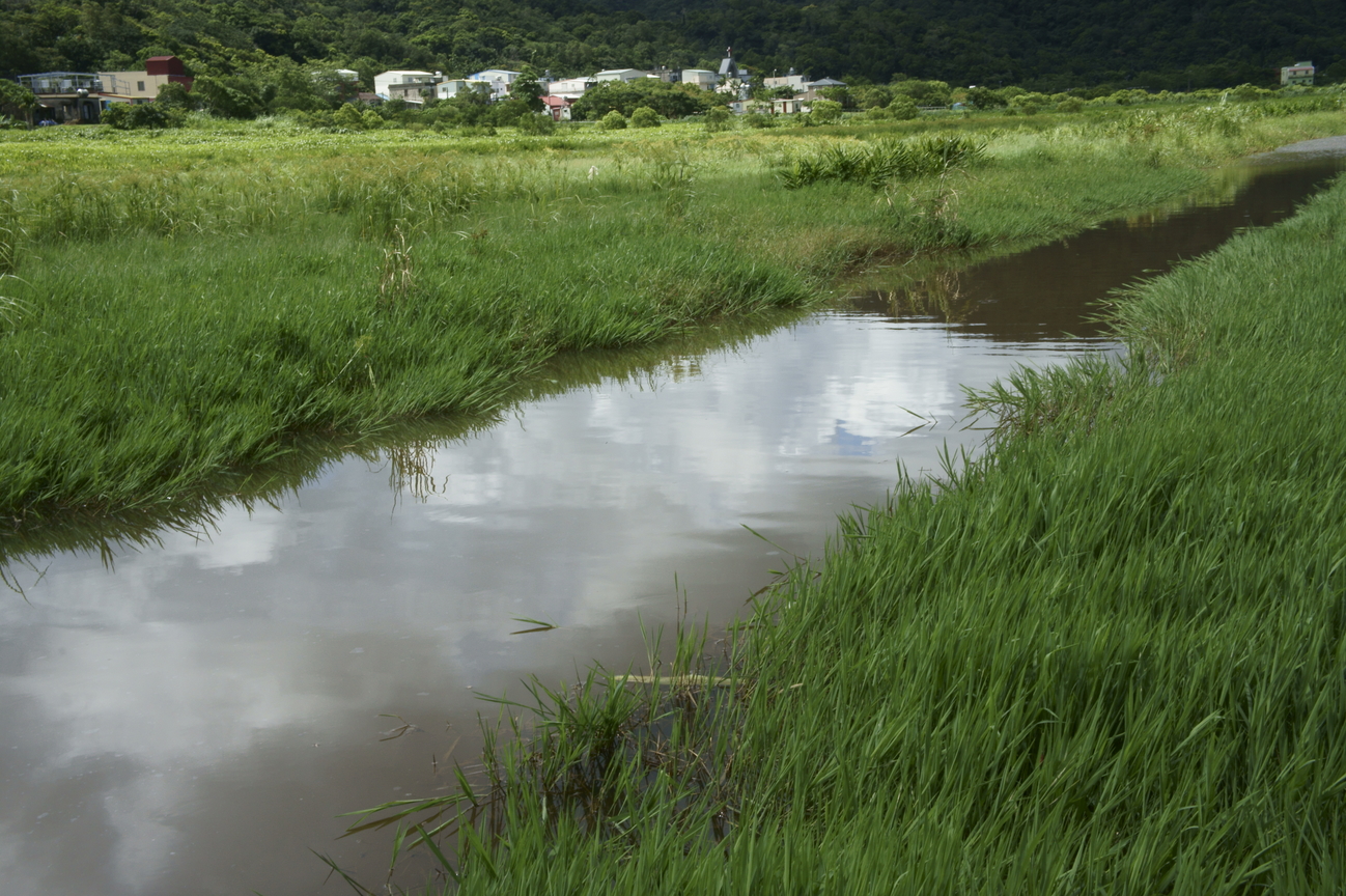 東源溼地