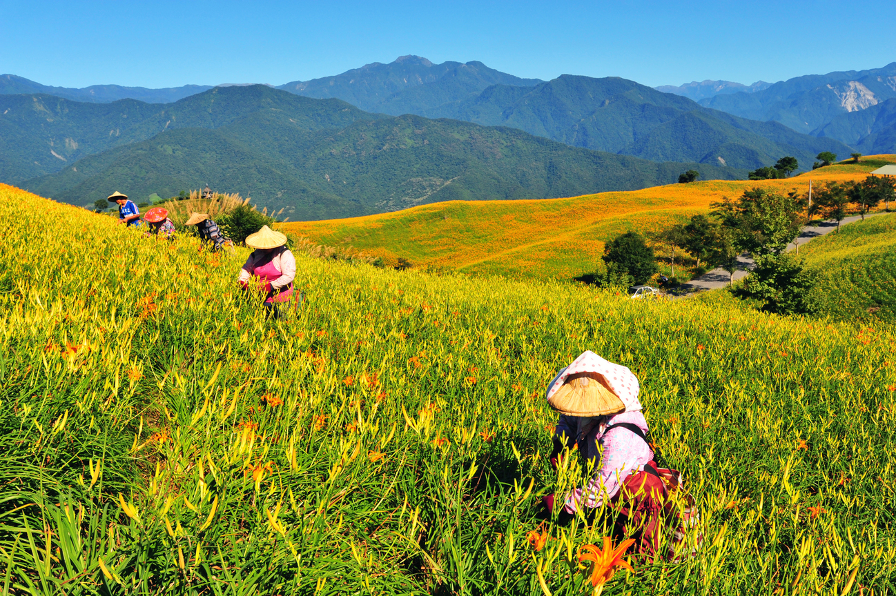花蓮縣富里鄉-六十石山之美03