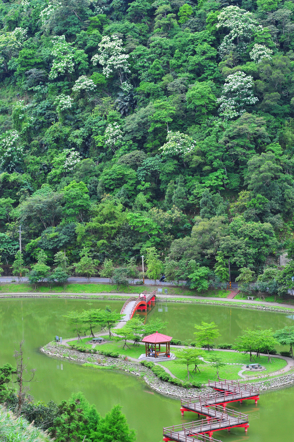 宜蘭縣員山鄉-望龍埤之美02