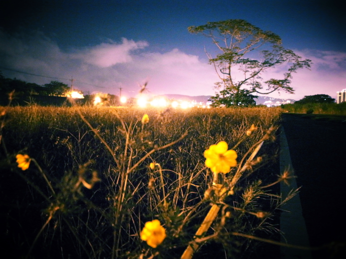 台北市士林區－河濱公園
