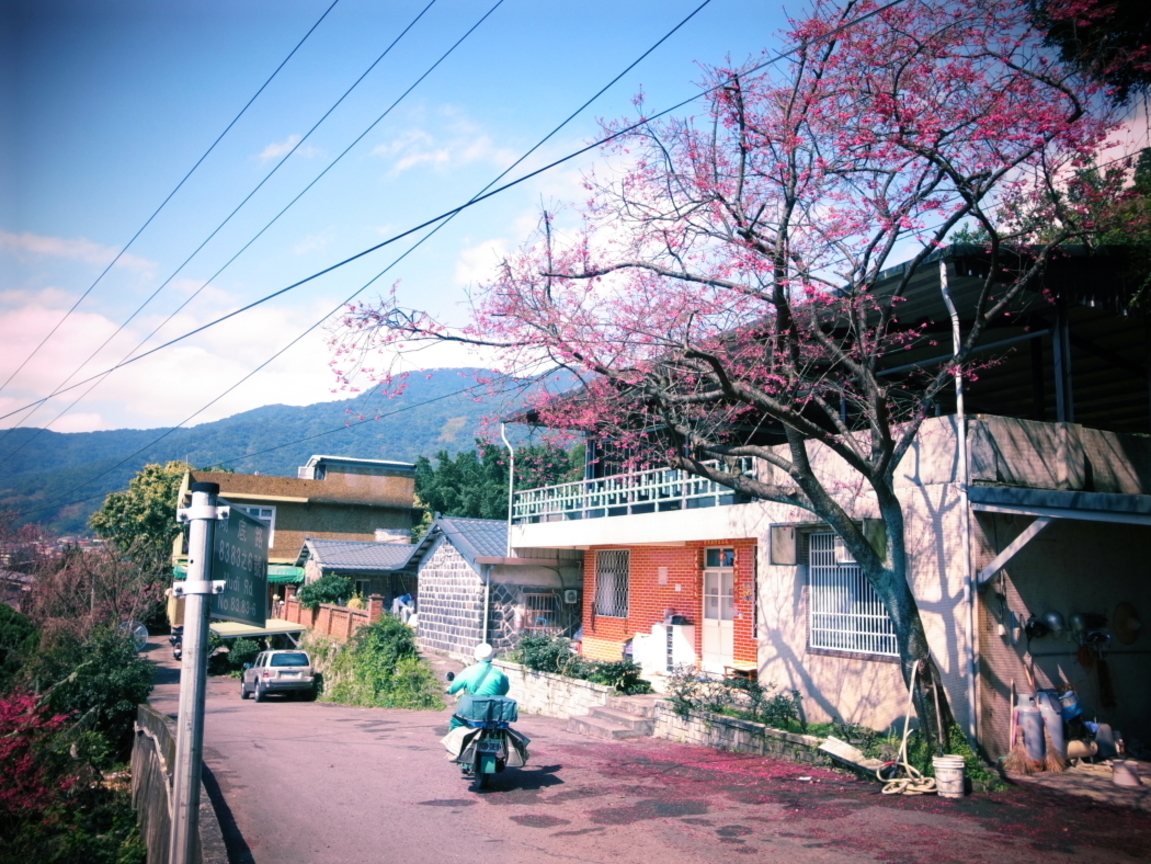 台北市北投區－草山 湖底路