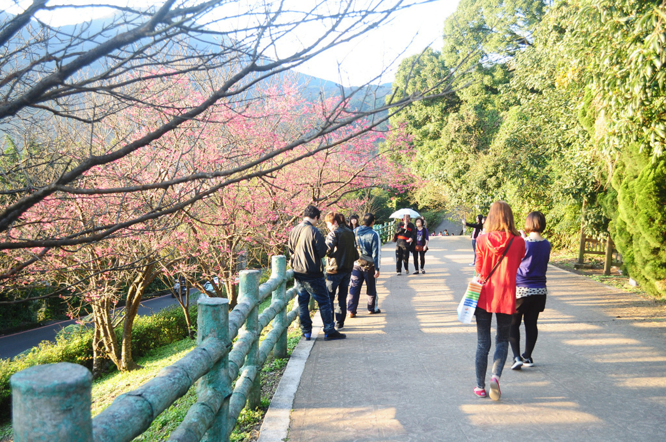 台北市士林區--陽明山國家公園