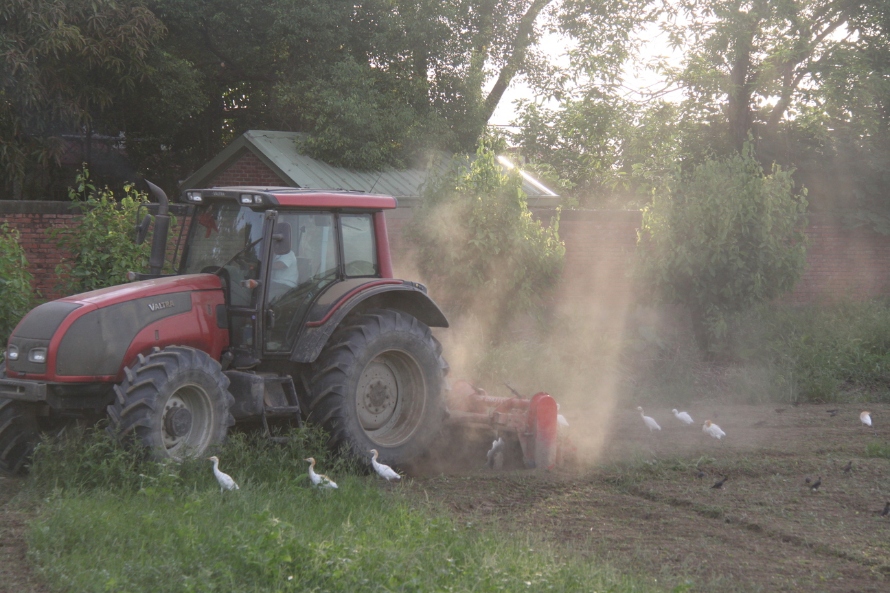 台南市西港區-農忙時期