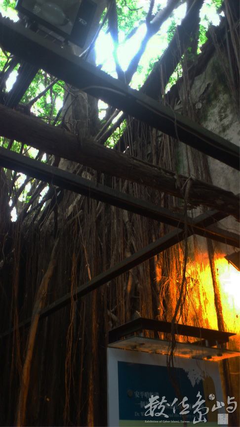 台南市安平區-安平樹屋