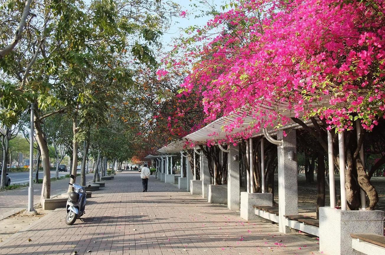 臺南市東區－名副其實的林森路