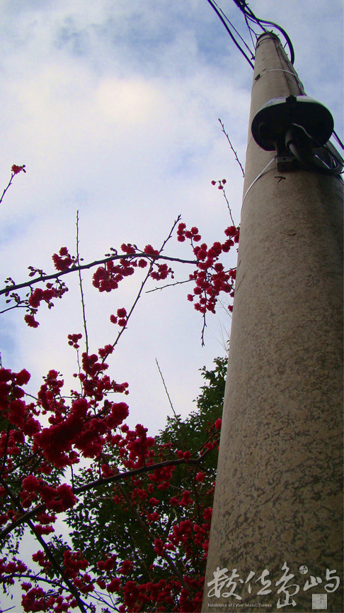 新竹縣橫山鄉-內灣老街