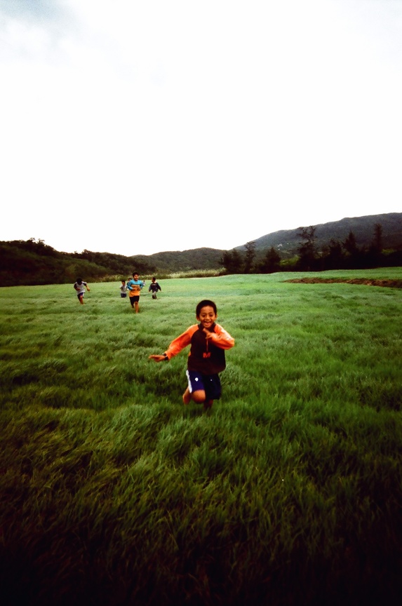 牡丹的天然樂園