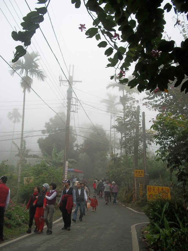 台南市楠西區-梅嶺