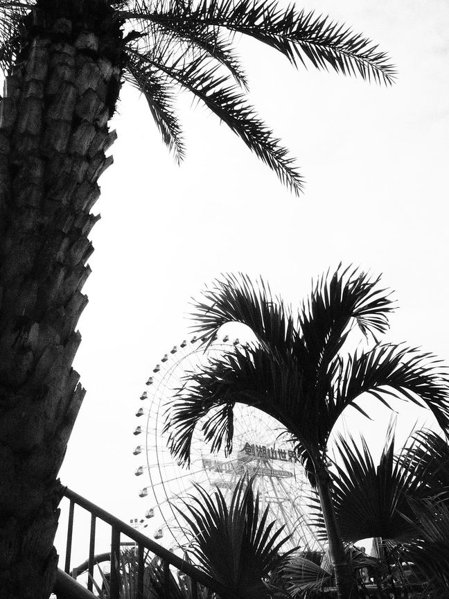 雲林縣古坑鄉-摩天輪