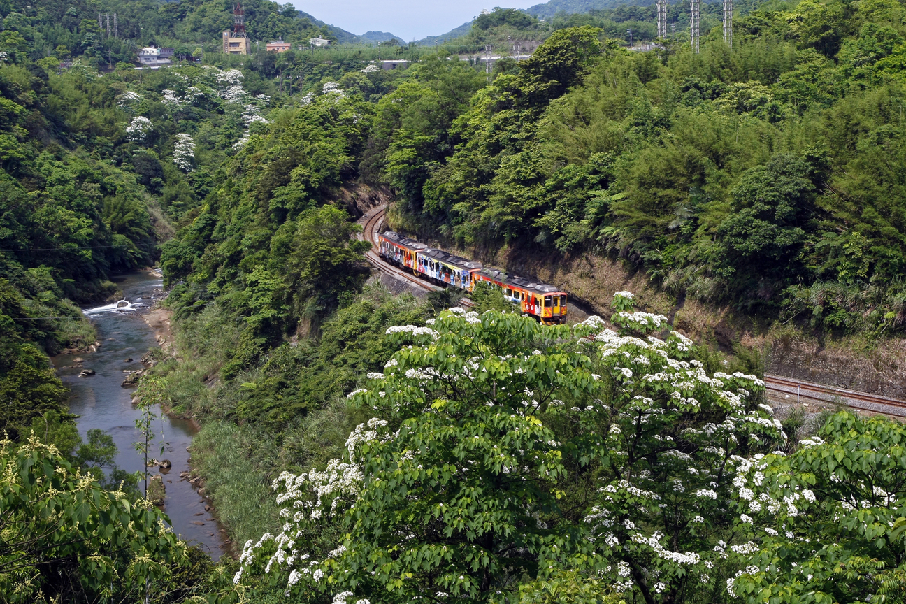 新北市平溪區-桐花火車