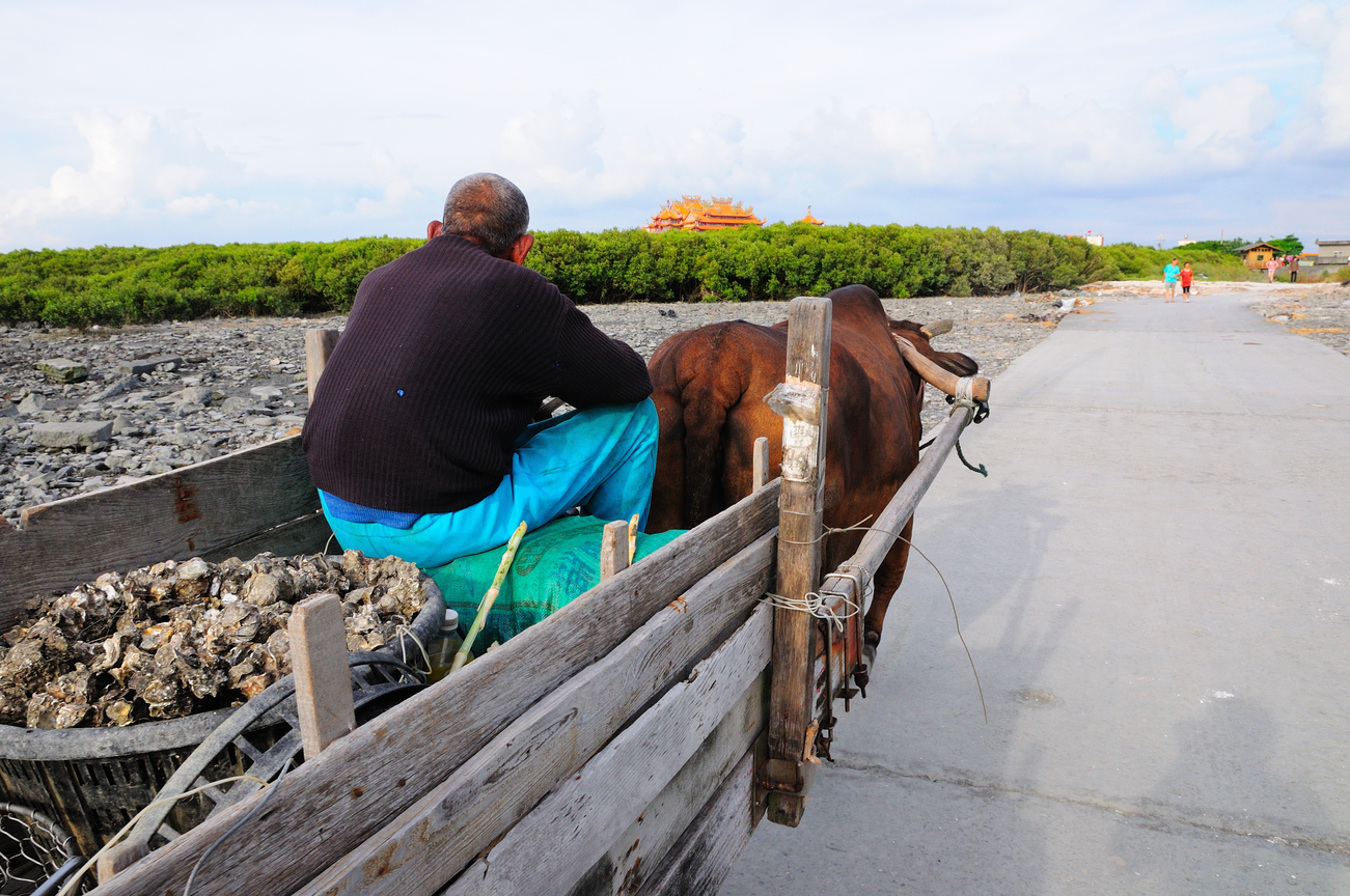 彰化芳苑-芳苑漁村