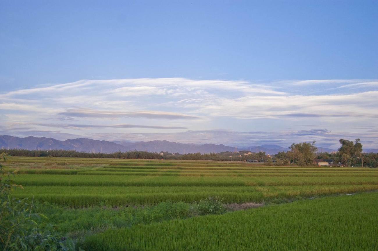 嘉義縣民雄鄉-民雄田邊小路
