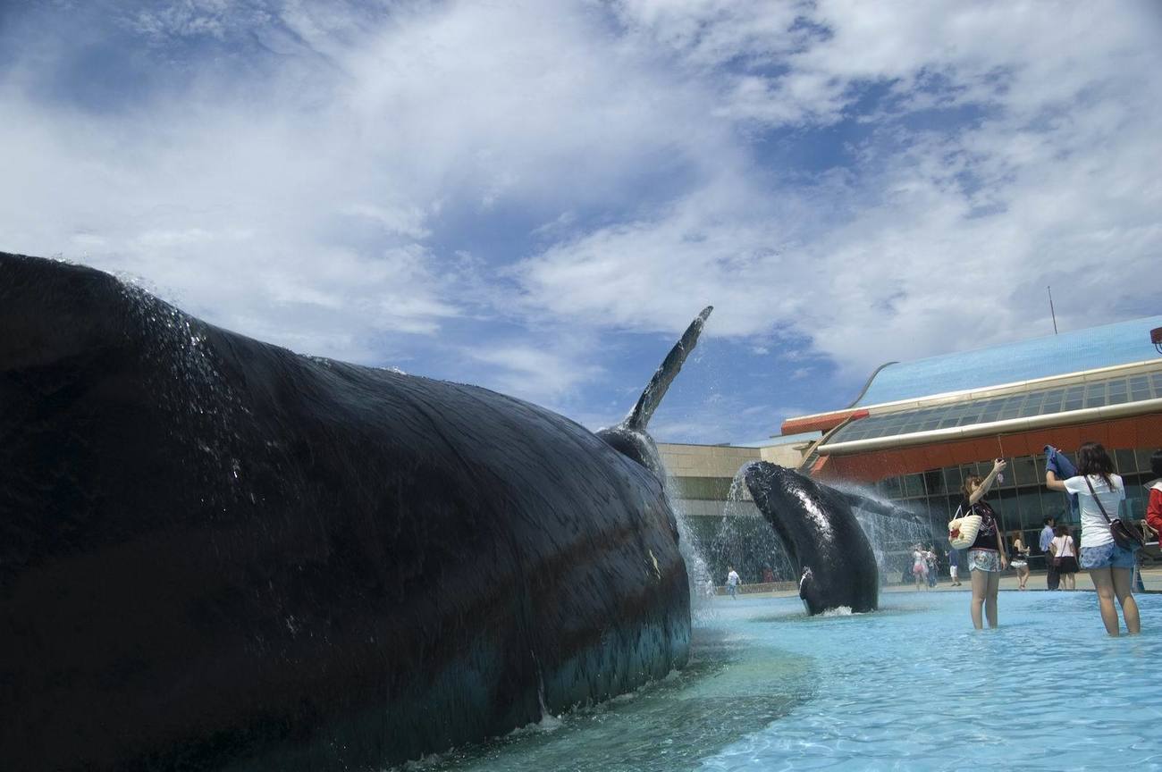 屏東縣車城鄉-國立海洋生物博物館